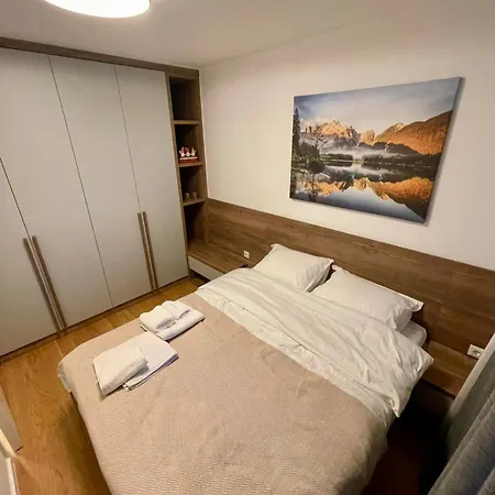 Monty * ヤホリナ